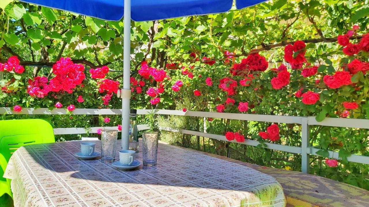Guest House Pogradeci المظهر الخارجي الصورة