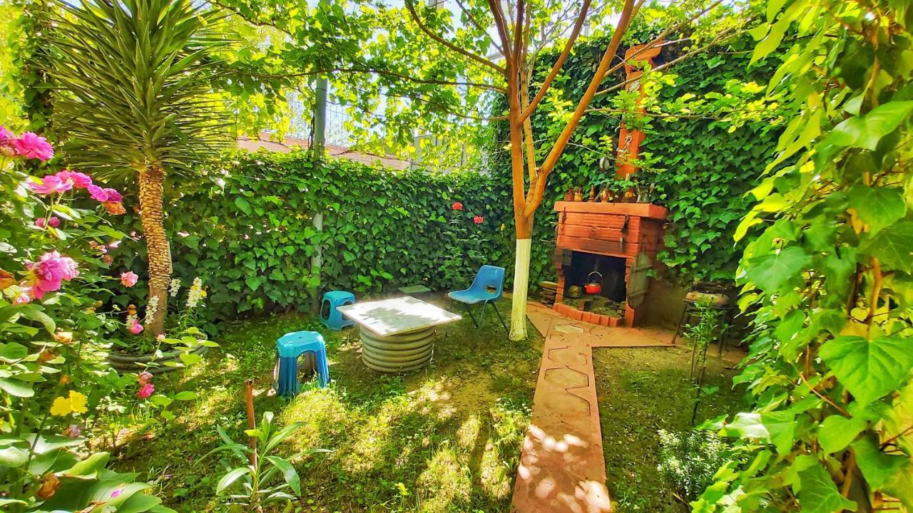 Guest House Pogradeci المظهر الخارجي الصورة